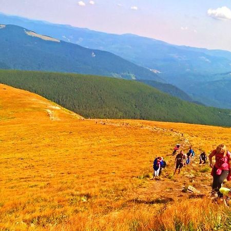ホテル Ансол ボロフタ エクステリア 写真